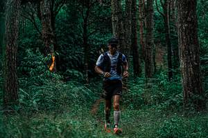 BIB: 
                            <button type="button" onclick="openModal(25236175)" class="btn btn-primary btn-sm float-right btn-popup" data-toggle="modal" data-target=".modal-high-quality">
                        <i class="fas fa-shopping-cart"></i> Add to Cart
                    </button>
                                            <button type="button" onclick="isThisMe(25236175, true)" class="btn btn-success btn-sm float-right btn-popup btn-isme hidden" data-toggle="tooltip" data-placement="bottom" title="นี่คือรูปของคุณใช่ไหม คลิกที่นี่เพื่อเอาเข้าอัลบั้ม">
                        <i class="fas fa-plus"></i> Add to album
                    </button>
                    <button type="button" onclick="isThisMe(25236175, false)" class="btn btn-warning btn-sm float-right btn-popup btn-isnotme hidden">
                        <i class="fas fa-ban"></i> Remove from album
                    </button>